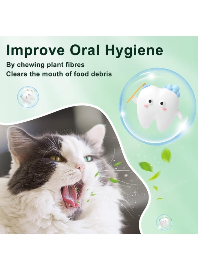 ChicAbode 4 Pcs Cat Toys, Catnip Toys Balls, Extra Cat Energy Ball, Natural Interactive Toy Edible Kitty Lick Toys, for Cats Lick Teeth Cleaning Dental Cat Ball Toy, Catnip Balls for Cats Wall, Green - Image 5