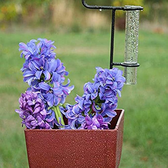 Upgraded 5 Inch Rain Gauge 2PCS Set For Outdoor Garden Yard Watering Assorted Colors - Image 1