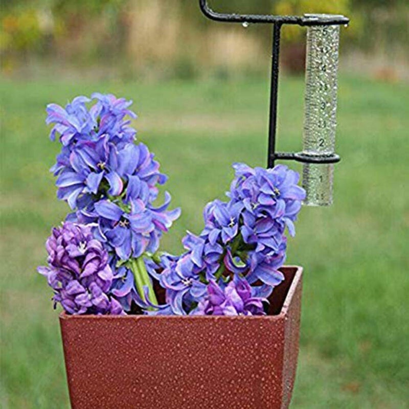 Upgraded 5 Inch Rain Gauge 2PCS Set For Outdoor Garden Yard Watering Assorted Colors - Image 2