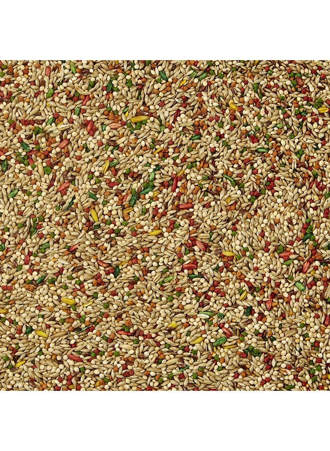 Kaytee Forti-Diet Pro Health Parakeet Food 2lb - Image 3