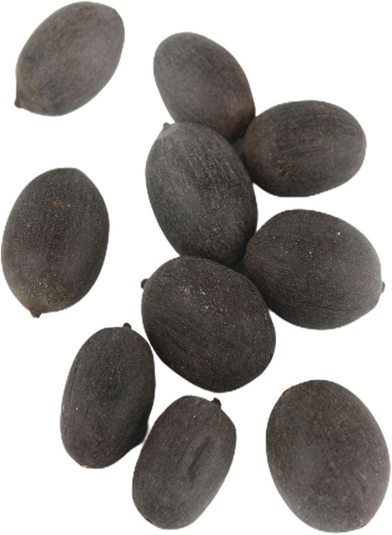 GGOOT 1 Bag Lotus Seeds Mini Non GMO Mixed Bonsai Lotus Bowl Seeds for Garden Lotus Bowl Seeds for Yard  - Image 1