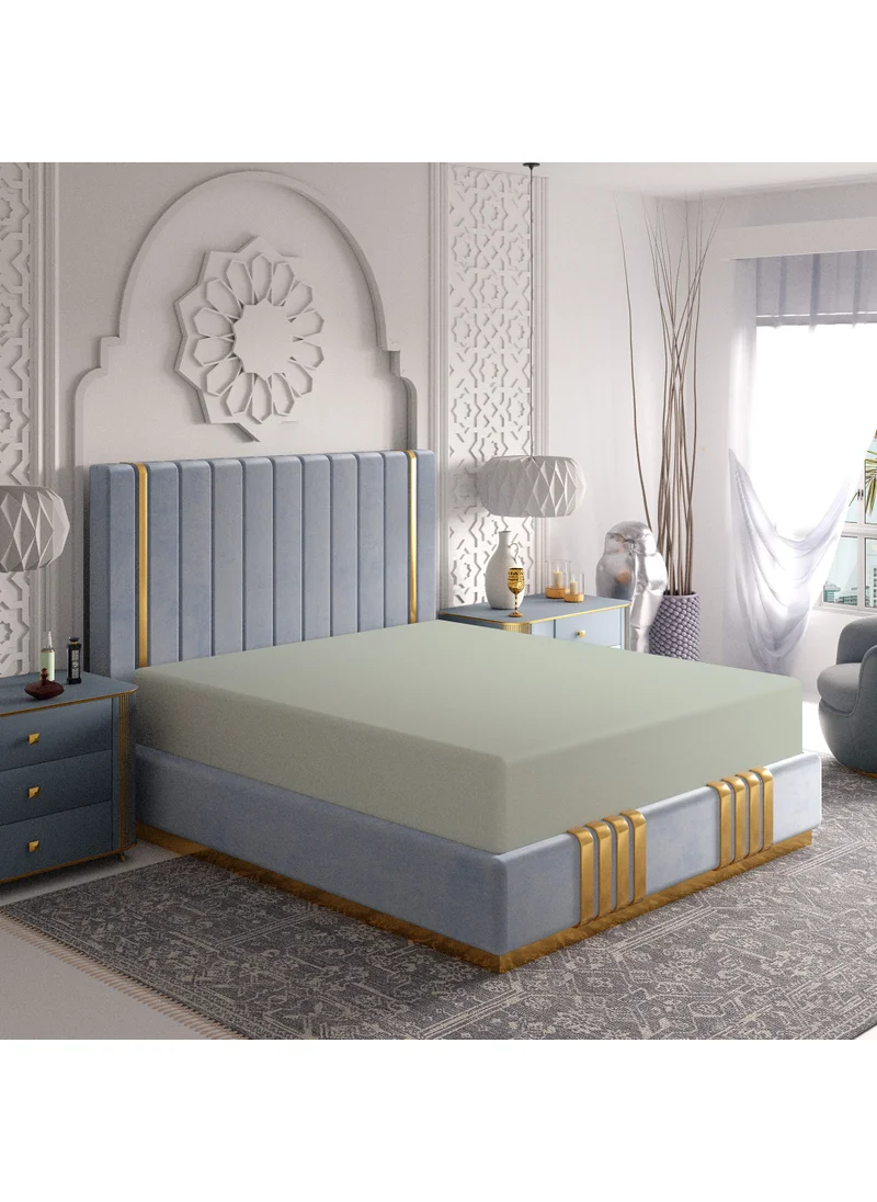 حس اللون Solid 1 Fitted Sheet Queen Egyptian Cotton Light Green 200x160cm