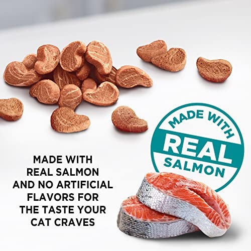 Meow Mix Irresistibles Soft Cat Treats, Salmon, 3 Ounce (Pack of 5) - Image 3