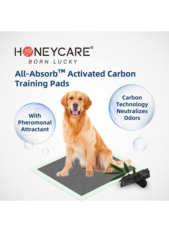 HONEY CARE HONEY CARE All-Absorb Puppy Training Pads Dog Potty Pads Absorb Eliminating Urine Odor, Jumbo-Size Charcoal Puppy Pee Pad (Carbon, XL 28x34 inch, 40ct)  - Image 2