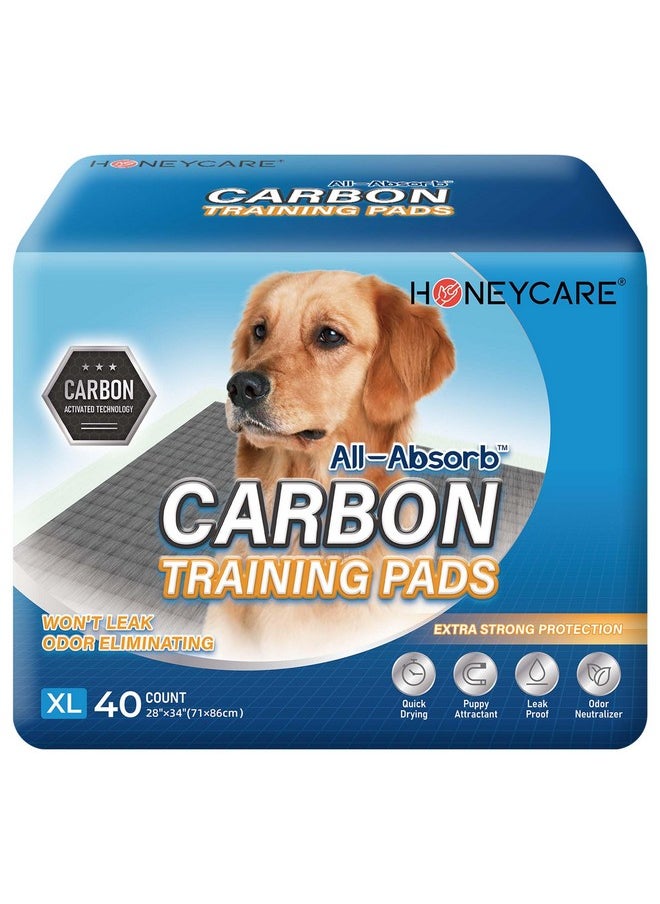 HONEY CARE HONEY CARE All-Absorb Puppy Training Pads Dog Potty Pads Absorb Eliminating Urine Odor, Jumbo-Size Charcoal Puppy Pee Pad (Carbon, XL 28x34 inch, 40ct)  - Image 1