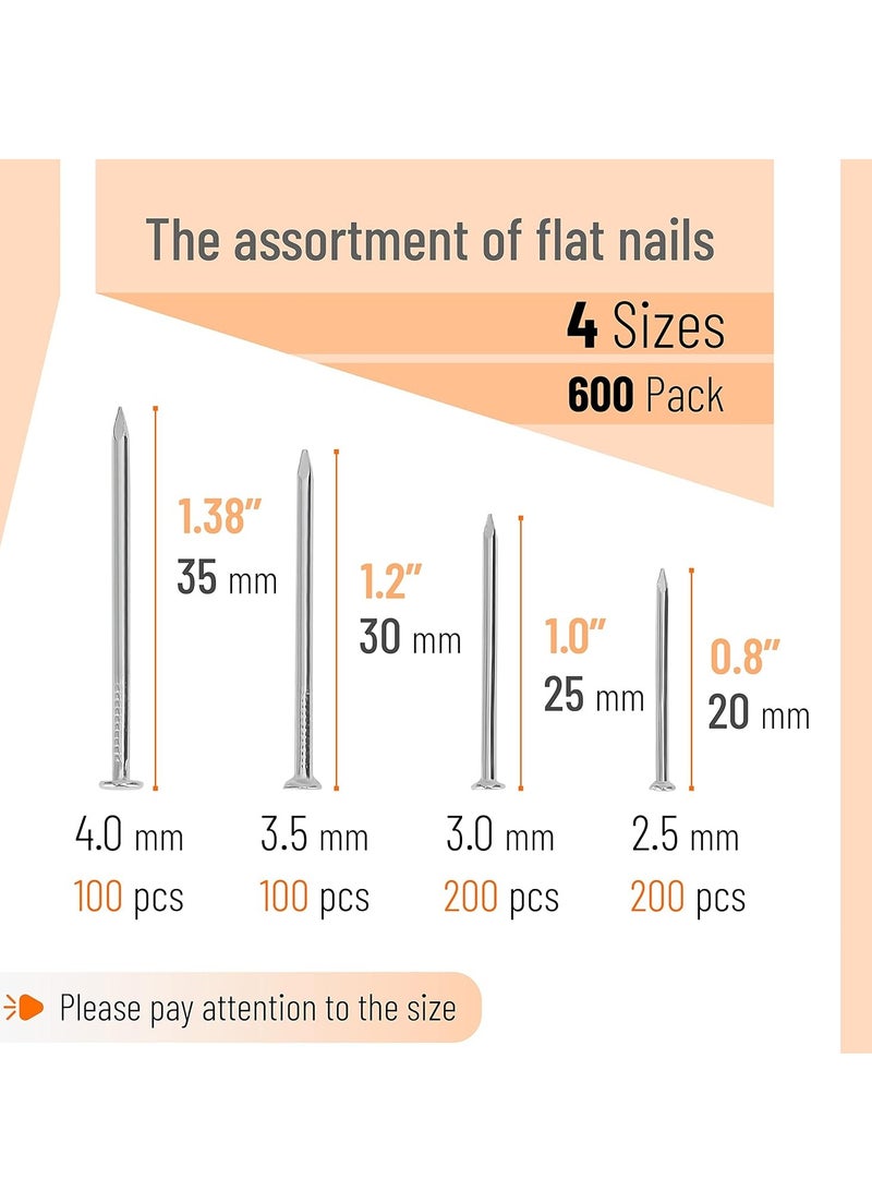 Nail Assortment Kit, 600 Pcs, 4 Sizes, Silver, Small Nails for Hanging Pictures, Finishing Nails, Gold Wall Nails for Hanging, Pin Nails, Hardware Nails, Assorted Nails, Galvanized Nails - Image 2