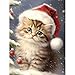 Bits and Pieces Christmas Kitten Puzzles for Adults Large Pieces Cute Kitten in Santa Hat Random Die Cut No 2 Pieces Alike 300 Piece Puzzle - Image 2