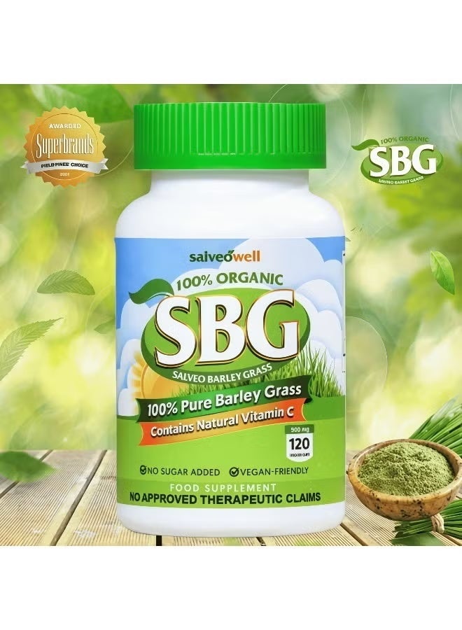 100% Organic Barley Grass Powder Supplement，Rich In Nutrients, Vitamins And Antioxidants 120 Capsules