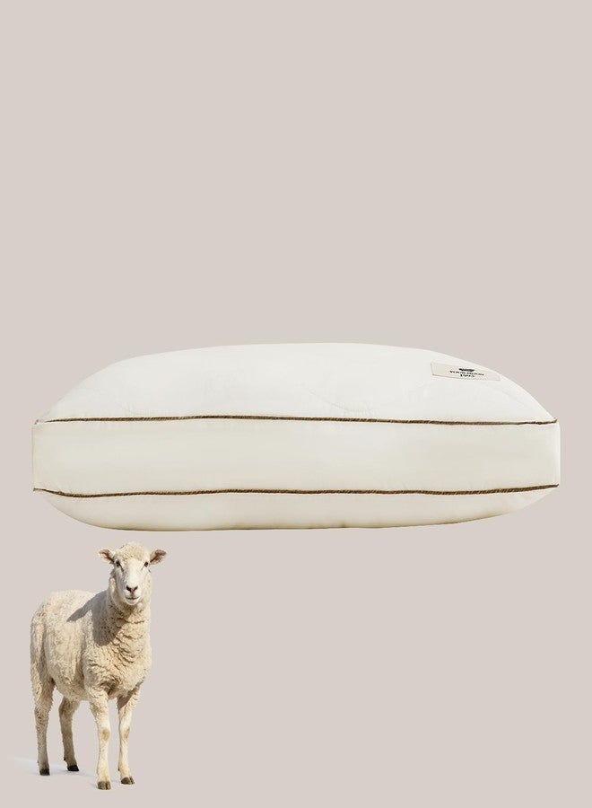 YOUR MOON Natural Wool Pillow Standard Size, Medium Support Bed Pillows for Sleeping, Premium Australian Wool Filling with 100% Cotton Cover, Down Alternative Pillows (Off White) - Image 1