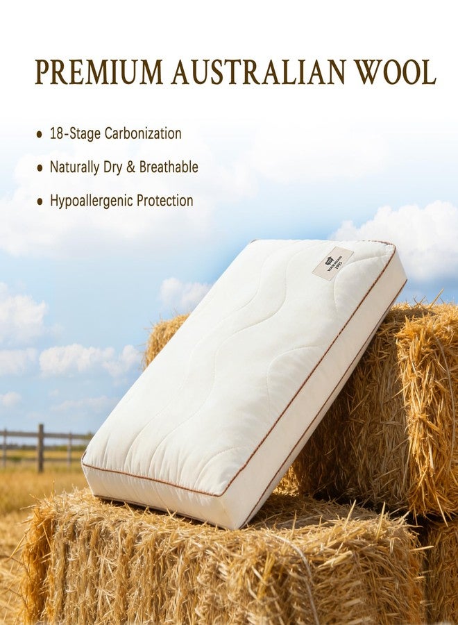 YOUR MOON Natural Wool Pillow Standard Size, Medium Support Bed Pillows for Sleeping, Premium Australian Wool Filling with 100% Cotton Cover, Down Alternative Pillows (Off White) - Image 4