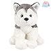 BSTAOFY 12 Husky Stuffed Animal Realistic Puppy Dog Soft Plush Toys Adorable Birthday Valentines Christmas Festivals Gifts for Kids Toddlers Boys Girls - Image 4
