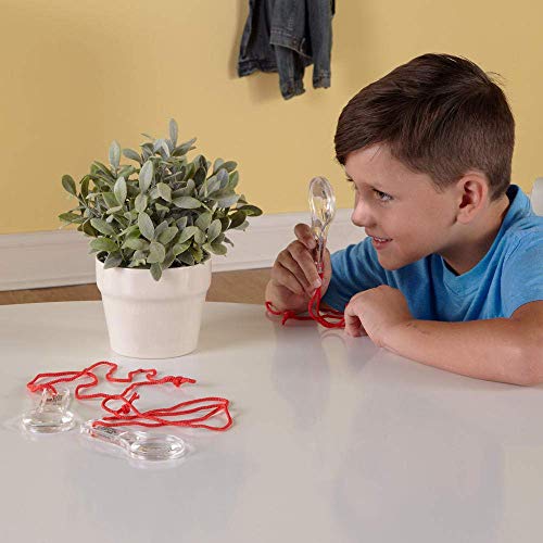 hand2mind Hand Lens with Lanyard, 3X and 6X Magnifier for Home, Classroom, Indoor and Outdoor Use (Pack of 10) - Image 2