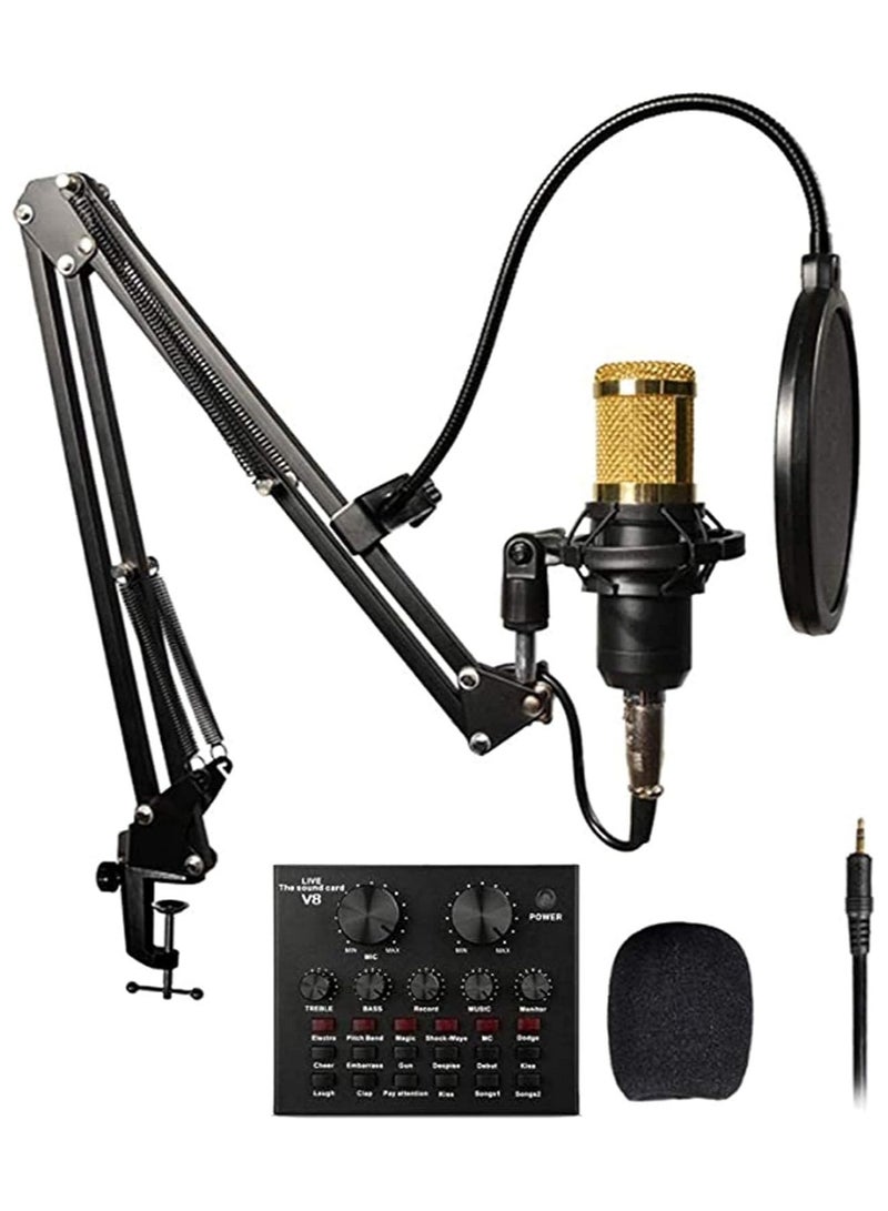 ELTRAZONE Adjustable Recording Condenser Microphone with Kit - Image 1