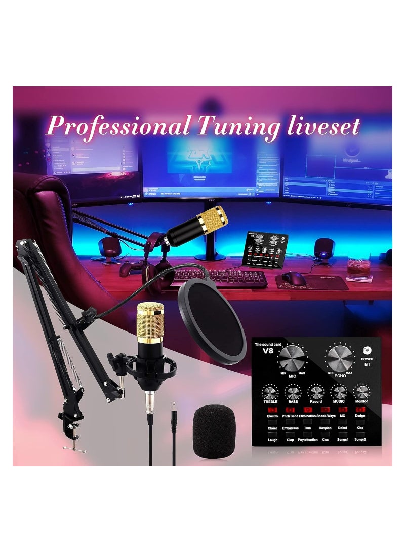 ELTRAZONE Adjustable Recording Condenser Microphone with Kit - Image 5