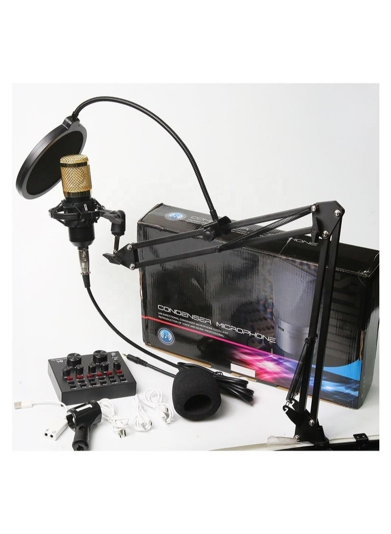 ELTRAZONE Adjustable Recording Condenser Microphone with Kit - Image 2