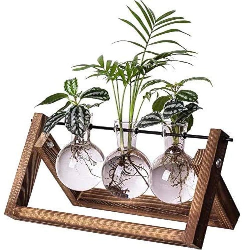 Kingbuy Plant Terrarium Propagation Station - 3 Glass Bulb Vases with Retro Wooden Stand Boho Desktop Planter for Hydroponics Home Garden Indoor Home Office Decor Unique Gifts for Women & Plant Lovers - Image 1