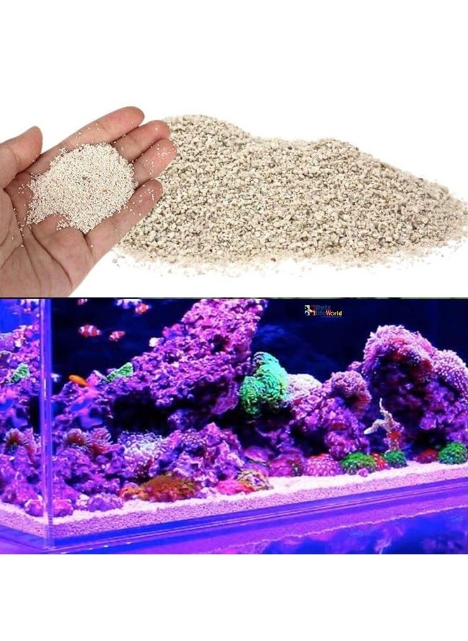 VAYINATO - 10Kg Aroganite Base Natural White Sand Suitable For Marine And Cichlid Tank By Petzlifeworld - Image 1