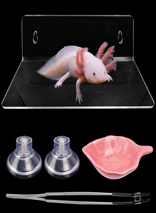Niuohoy Axolotl Hammock Ledge for Aquarium with Feeding Dish Ceramic Tray Suction Cup and Feeding Tweezer Axolotl & Bearded Dragon Aquarium Accessories Kit (7.8 x 3.9in) - Image 1