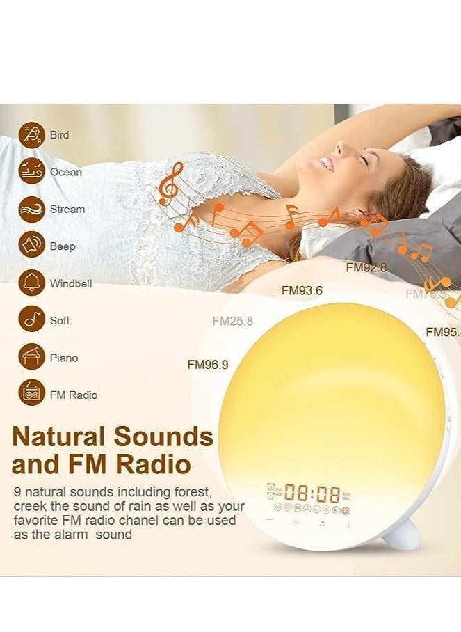 HeimVision Light Sunrise Alarm Clock, Night Light Table Lamp Sunrise Simulation with 7 Colors and 9 Natural Sounds FM Radio for Bedroom.  - Image 3