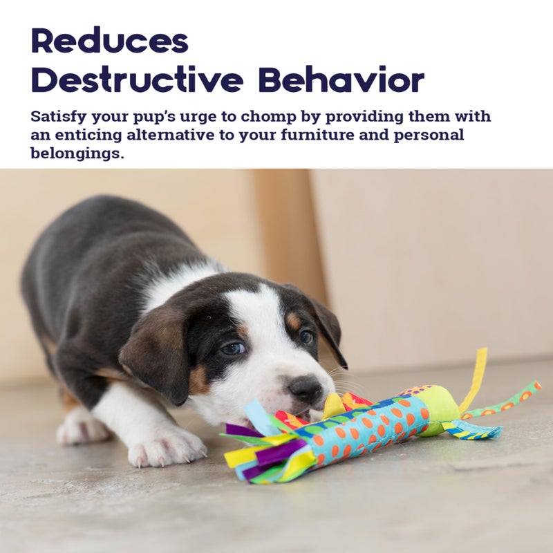 Petstages Cool Teething Stick for Dogs - Soothing Chew Toy for Teething Puppies - Freezable for Added Relief - Durable & Safe Dental Aid, Multicolor, One-Size - Image 4