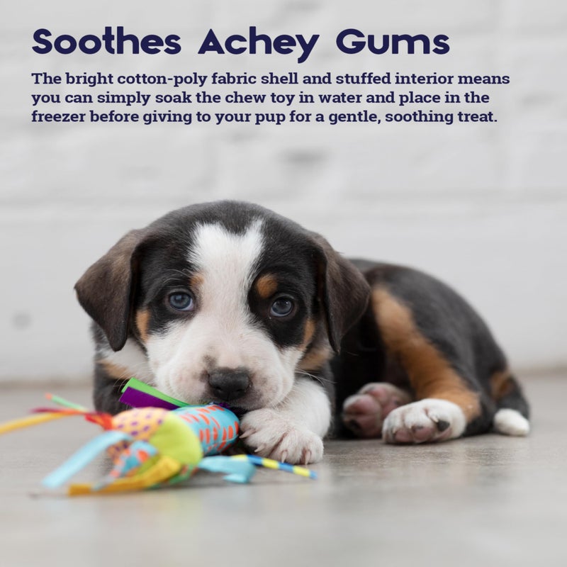 Petstages Cool Teething Stick for Dogs - Soothing Chew Toy for Teething Puppies - Freezable for Added Relief - Durable & Safe Dental Aid, Multicolor, One-Size - Image 3