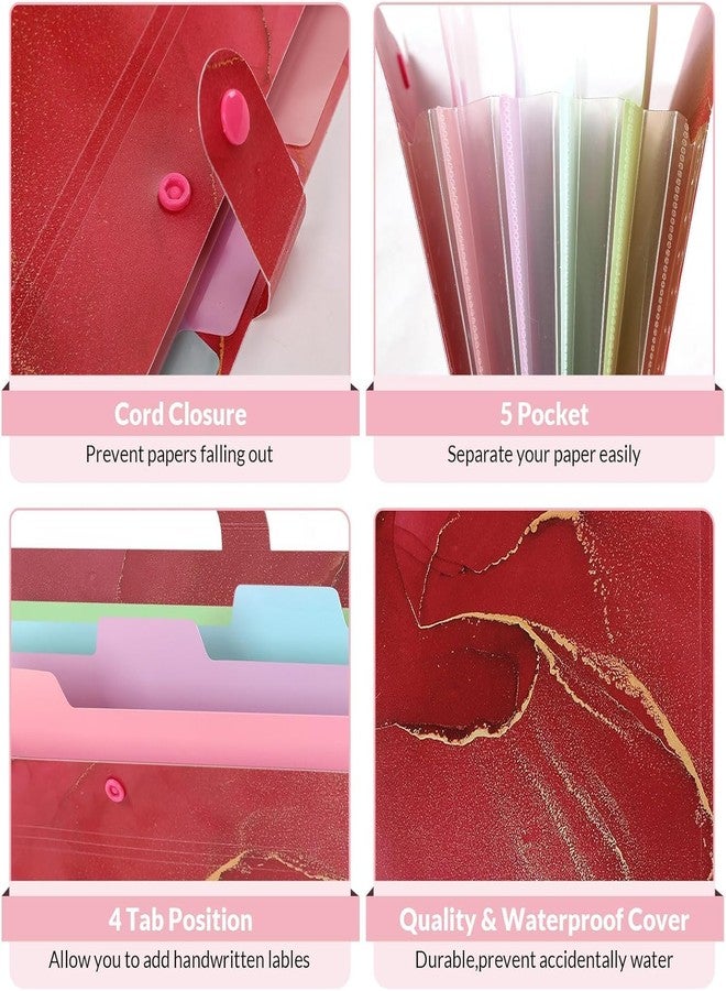 Corslet Pack of 2 File Holder for Documents A4 Size | Document Organizer File for Certificates and Documents | Expanding File Folder, File Folder for Office, Students & Home Use - Image 3