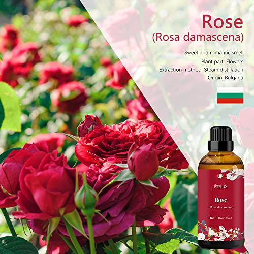 ESSLUX Rose Essential Oil 100ml ESSLUX Aromatherapy Essential Oils for Diffuser Massage Soap Candle Making Home Fragrance - Image 3