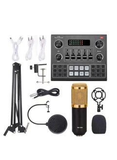 Elite V9 Sound Card & BM800 Pro Microphone Bundle for Advanced Broadcasting
