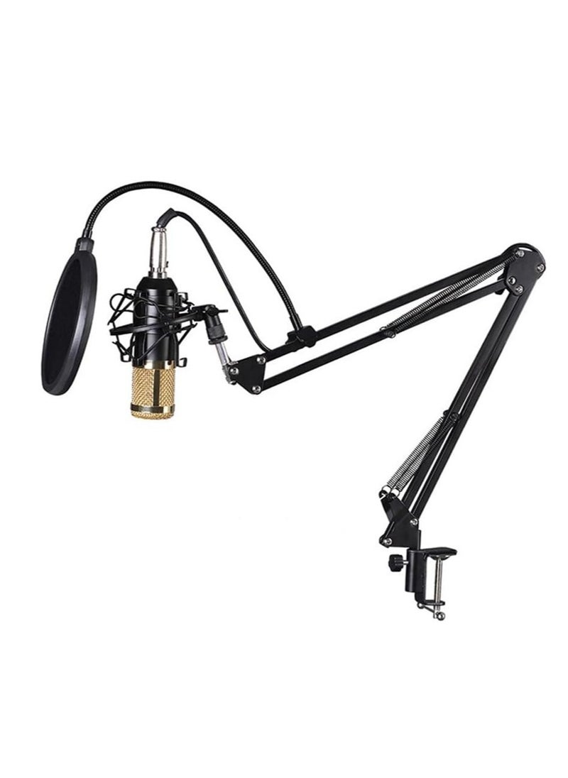 ELTRAZONE - Elite V9 Sound Card & BM800 Pro Microphone Bundle for Advanced Broadcasting - Image 1