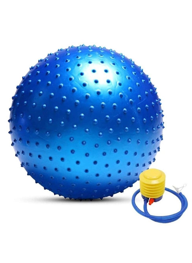 Spall Tactile Sensory Yoga Ball 75cm with Air Pump Thickened Stability Balance Sense for Physical Fitness Exercise - Image 1