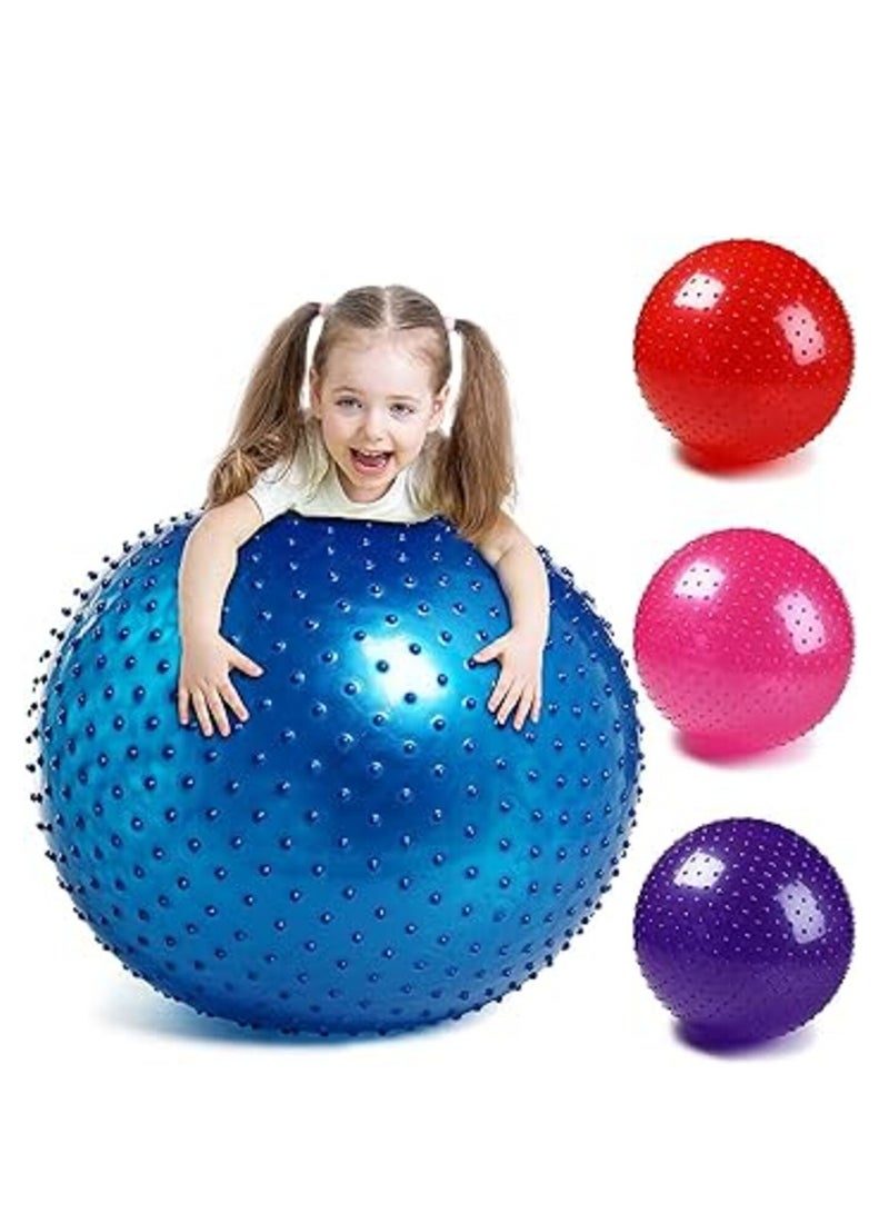 Spall Tactile Sensory Yoga Ball 75cm with Air Pump Thickened Stability Balance Sense for Physical Fitness Exercise - Image 3