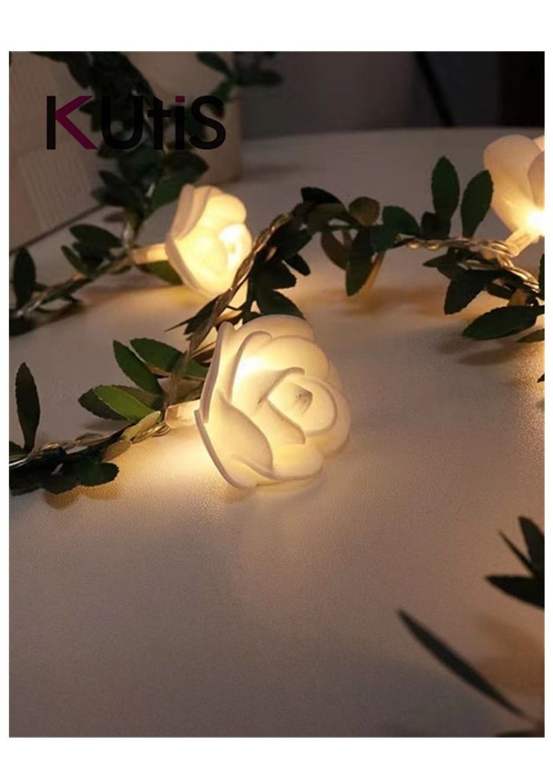 Kutis 20-Piece LED Rose String Light With Clear Cable And Battery Box White 3meter  - Image 5