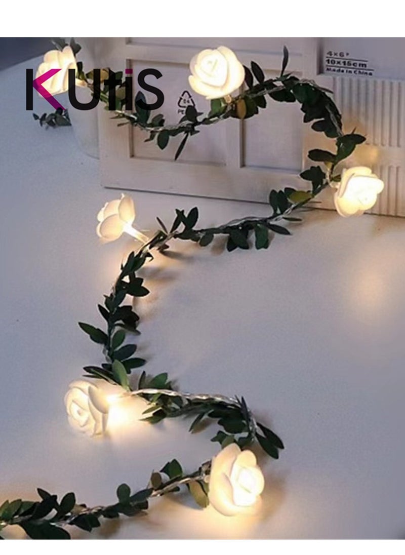 Kutis 20-Piece LED Rose String Light With Clear Cable And Battery Box White 3meter  - Image 3