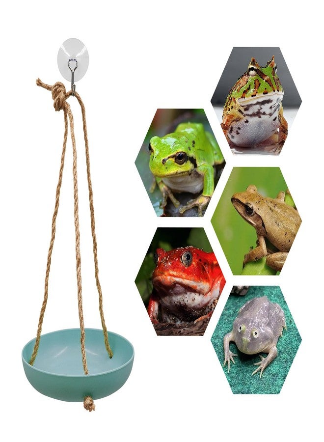 Neeenn Frog Swing Toys, Plastic Reptile Amphibian Climbing Toys, Tank Aquarium Terrarium Decoration Accessories, Suitable for Frog Gecko Lizard Chameleon Hermit Crab (Blue, Small) - Image 5