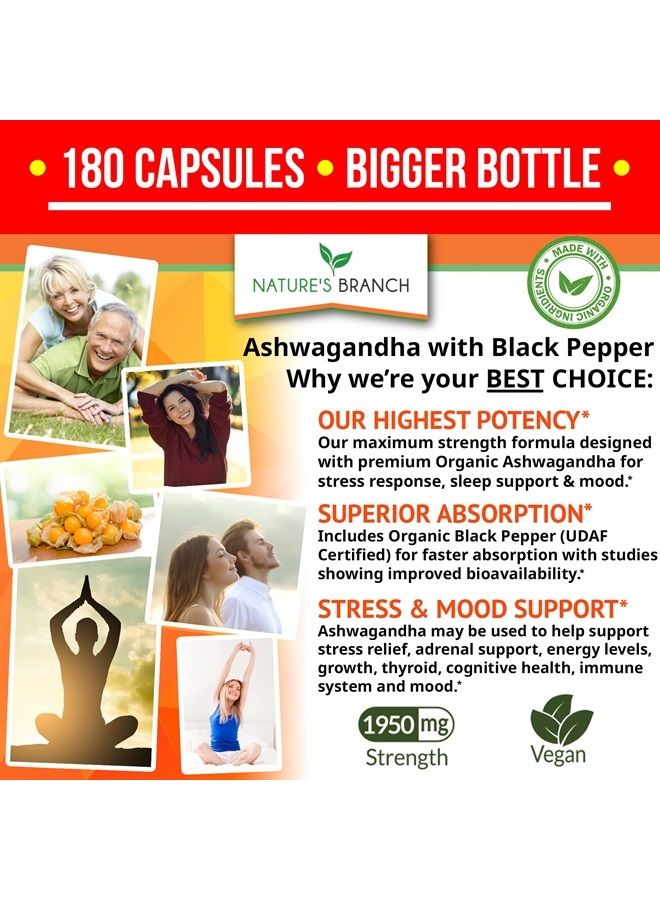 Nature's Branch Organic Ashwagandha with Black Pepper - 180 Capsules - 1950mg Maximum Strength for Stress and Mood Support, Sleep, Thyroid, Energy, Hair Pure Root Extract Powder - Vegan Supplements for Men and Women - Image 2
