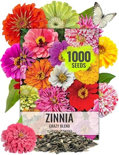 Seed Needs Zinnia Seeds 15+ Varieties Specialty Crazy Blend | 1,000+ Seeds Zinnia Elegans Open Pollinated | Includes California Giants, Candystripe & State Fair Species | Bulk - Image 1