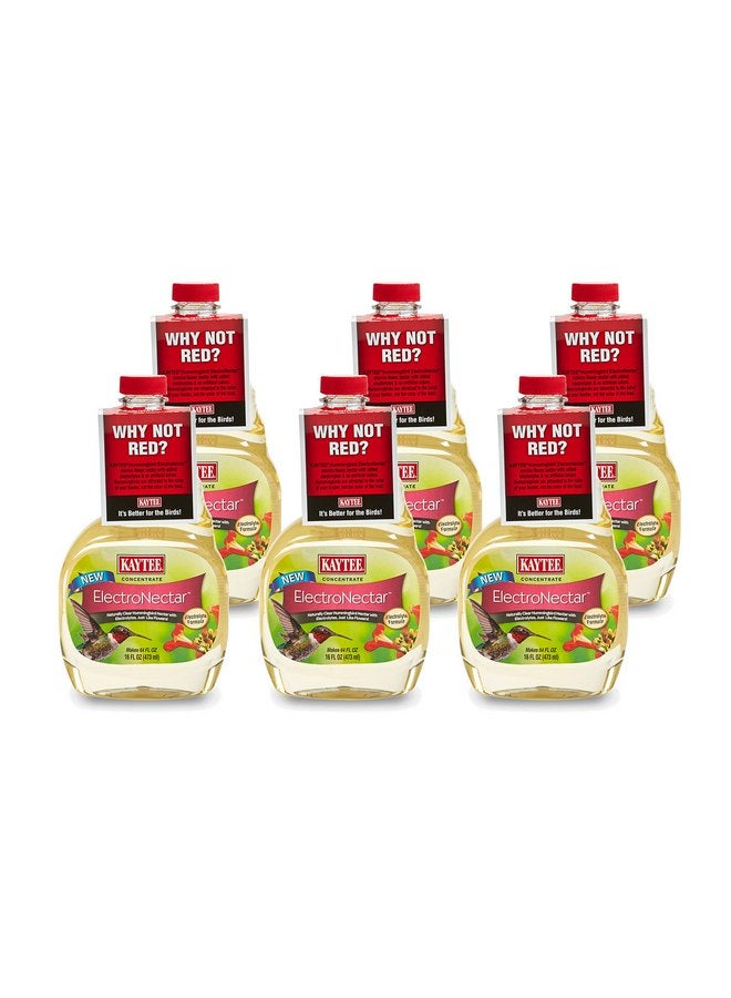 كايتي Hummingbird ElectroNectar، مركّز بحجم 16 أونصة - Image 3