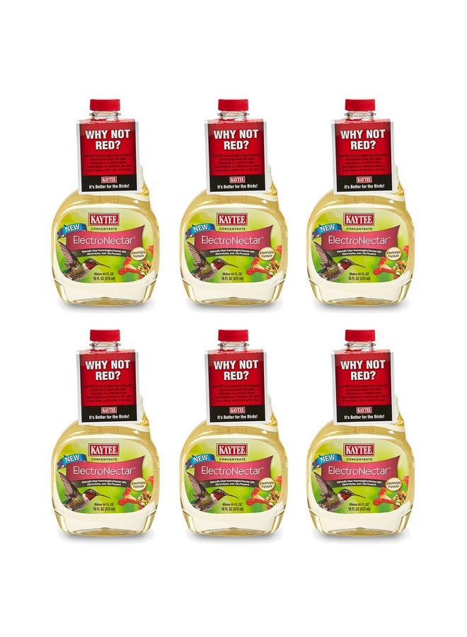 كايتي Hummingbird ElectroNectar، مركّز بحجم 16 أونصة - Image 1