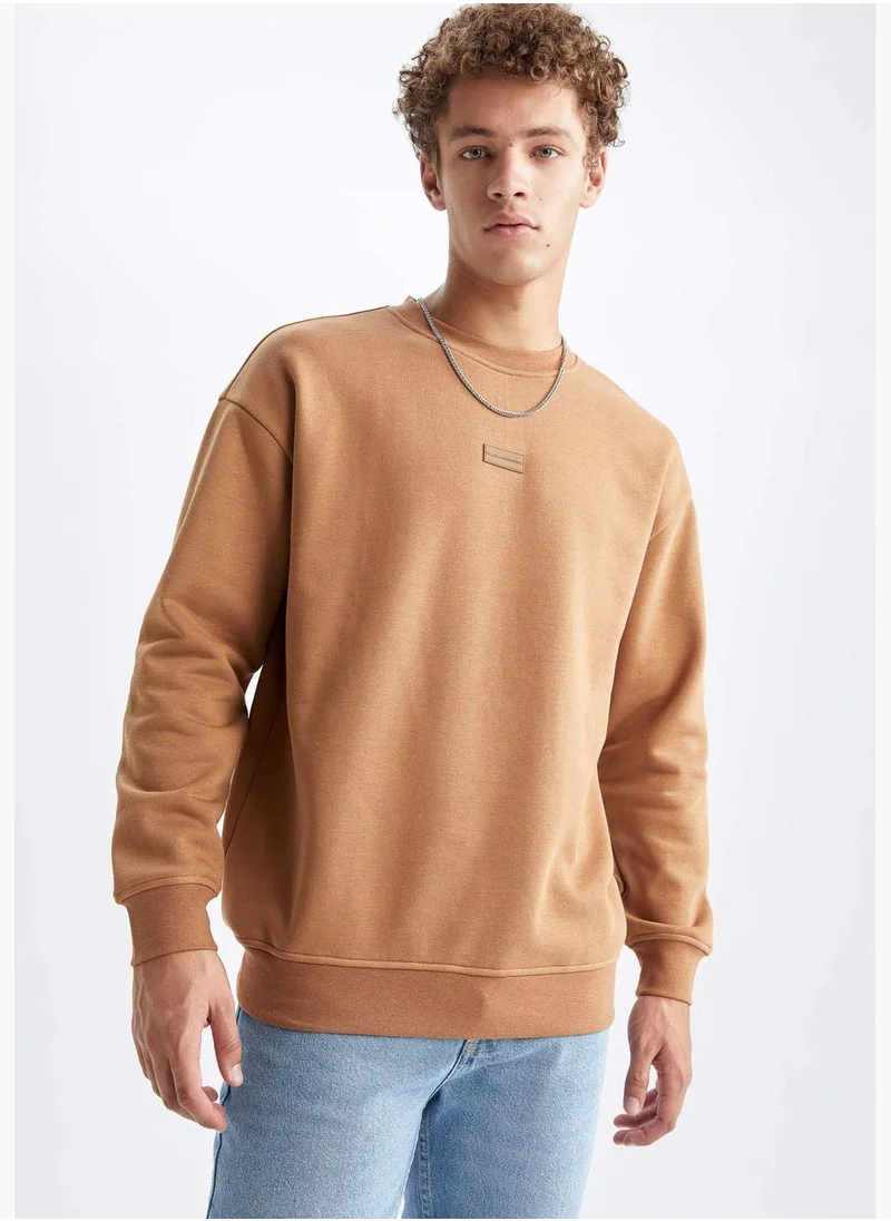 DeFacto Man Boxy Fit Crew Neck Long Sleeve Knitted Sweat Shirt