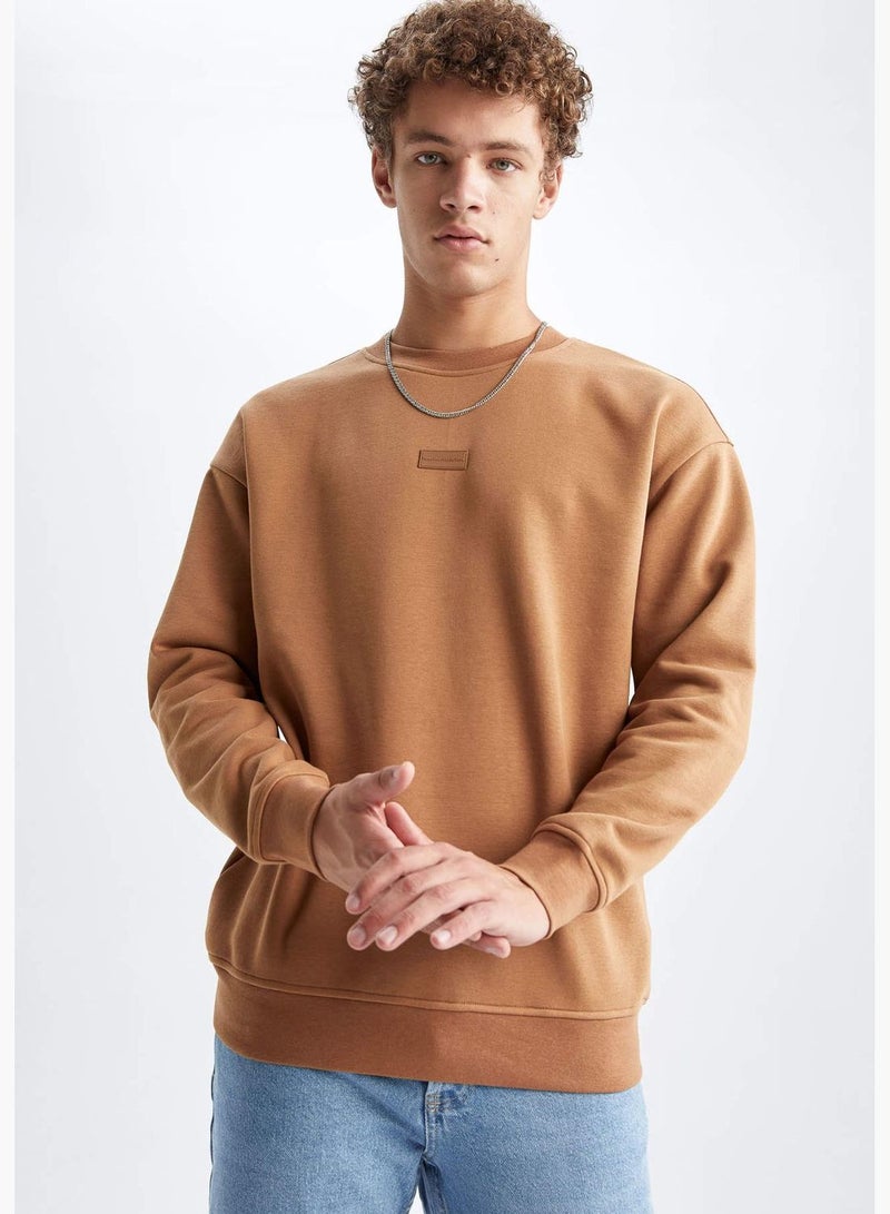 DeFacto Man Boxy Fit Crew Neck Long Sleeve Knitted Sweat Shirt - Image 3