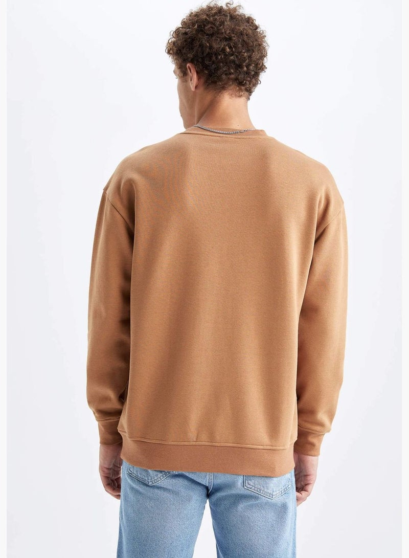 DeFacto Man Boxy Fit Crew Neck Long Sleeve Knitted Sweat Shirt - Image 5