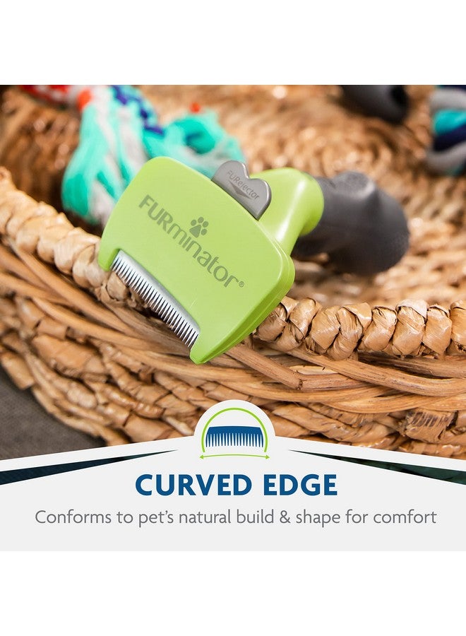 FURminator Small Dog Undercoat deShedding Tool, Short Hair, Reduces Loose Hair from Shedding - Image 4