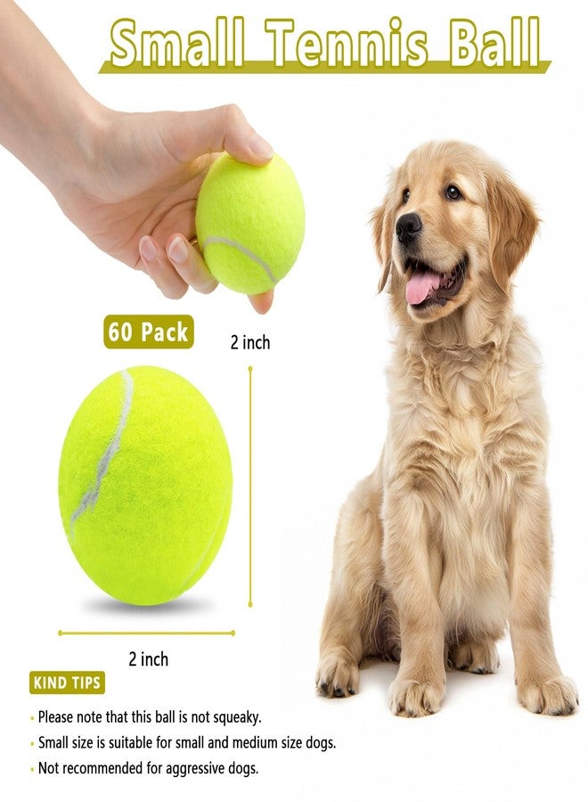 Magicorange كرات تنس صغيرة من ماجيك أورانج، عبوة من 60 كرة تنس مقاس 2 بوصة للكلاب، كرة لعب ملونة سهلة الإمساك للكلاب الأليفة (متعددة الألوان) - Image 2