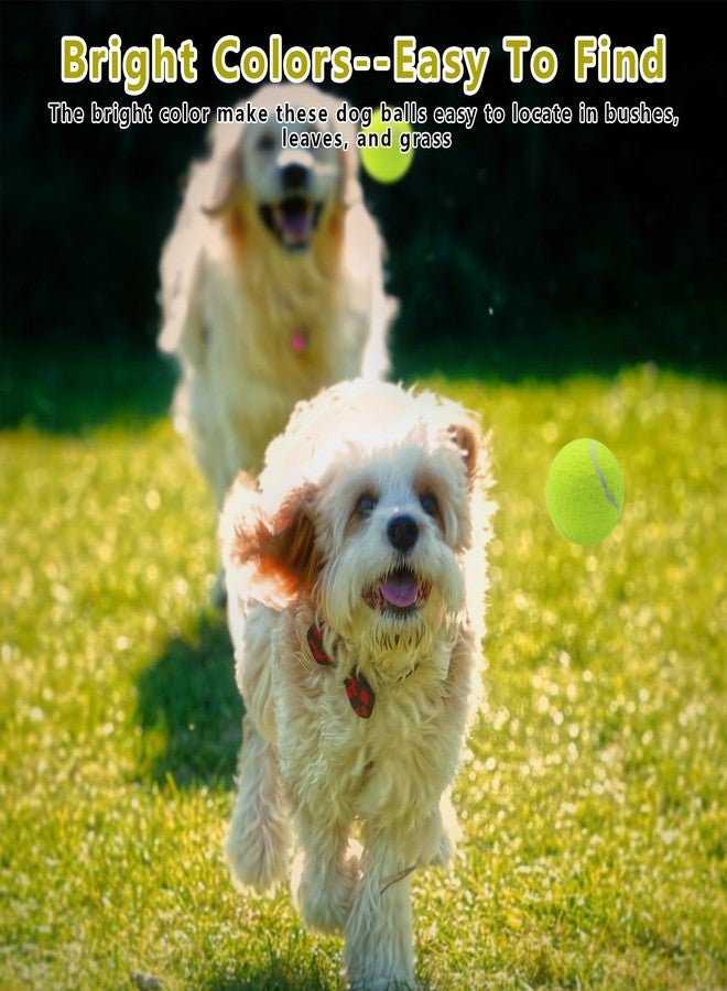 Magicorange كرات تنس صغيرة من ماجيك أورانج، عبوة من 60 كرة تنس مقاس 2 بوصة للكلاب، كرة لعب ملونة سهلة الإمساك للكلاب الأليفة (متعددة الألوان) - Image 4