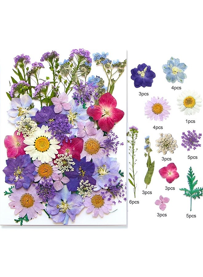 Lemon 40 Pcs Dried Pressed Flowers for Resin DIY Art Crafts, Natural Herbs Dry Plant Leaf Floral Epoxy, Jewelry Real Colorful Leaves Flower, Decor Cakes Phone Cases Candles Handmade Soap, Purple - Image 1