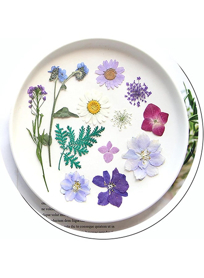 Lemon 40 Pcs Dried Pressed Flowers for Resin DIY Art Crafts, Natural Herbs Dry Plant Leaf Floral Epoxy, Jewelry Real Colorful Leaves Flower, Decor Cakes Phone Cases Candles Handmade Soap, Purple - Image 2