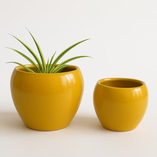 Niyara Ceramic Combo planters Pot for Home Garden Balcony Set of 2, Apple 6 & 4 inch (Mustard) - Image 1