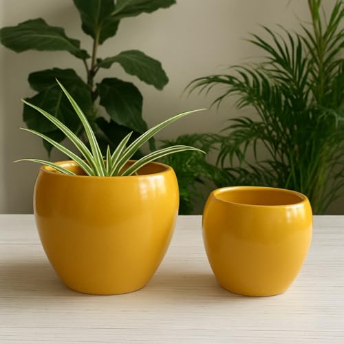 Niyara Ceramic Combo planters Pot for Home Garden Balcony Set of 2, Apple 6 & 4 inch (Mustard) - Image 4