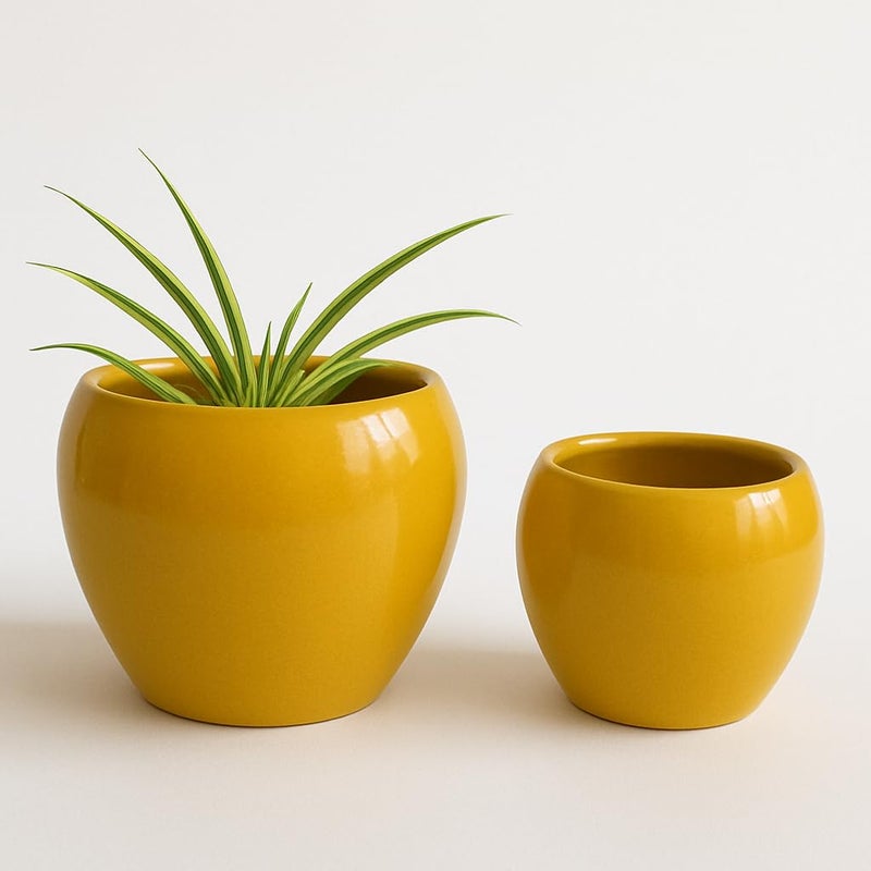 Niyara Ceramic Combo planters Pot for Home Garden Balcony Set of 2, Apple 6 & 4 inch (Mustard) - Image 5
