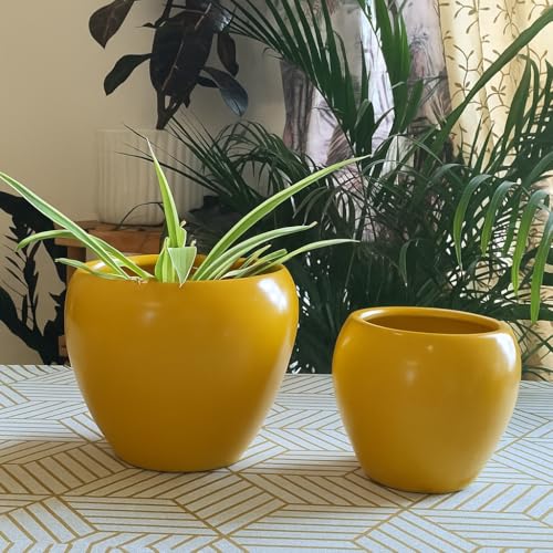 Niyara Ceramic Combo planters Pot for Home Garden Balcony Set of 2, Apple 6 & 4 inch (Mustard) - Image 2